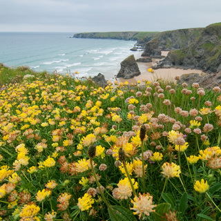 Bedruthan Steps